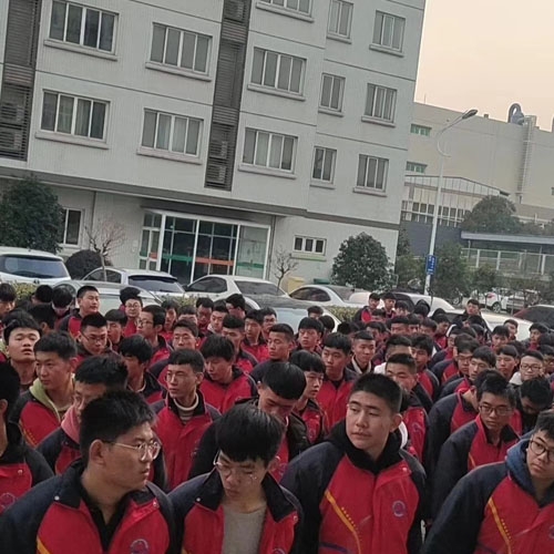 输送案例